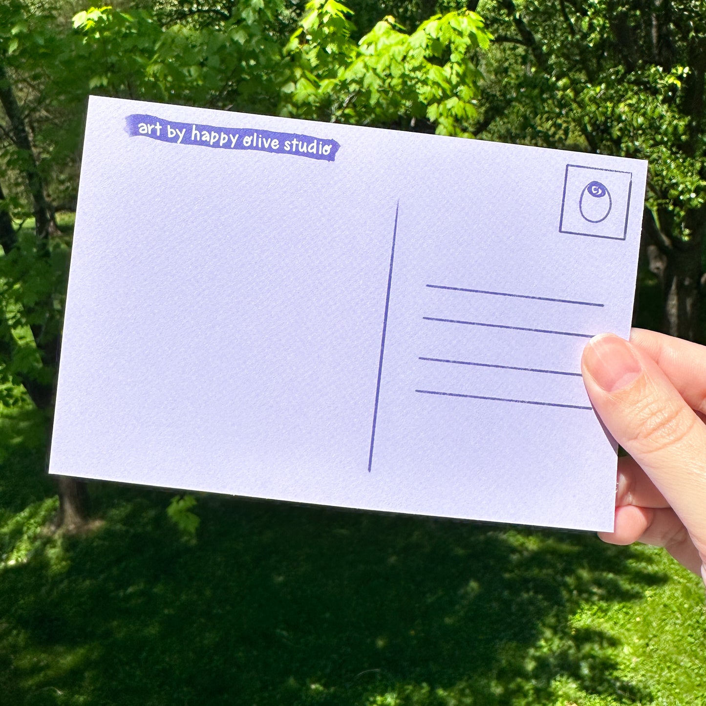 Sardines Postcard (Print)