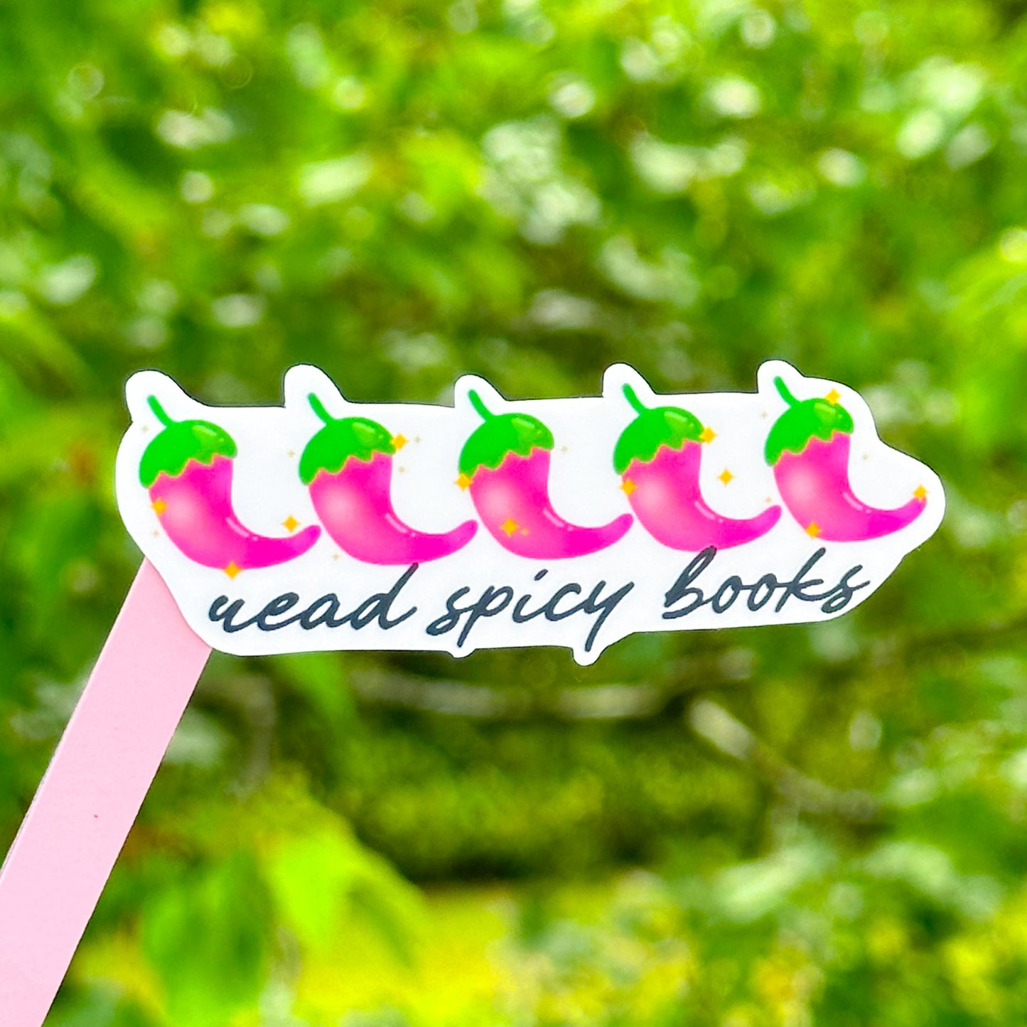 Read Spicy Books sticker